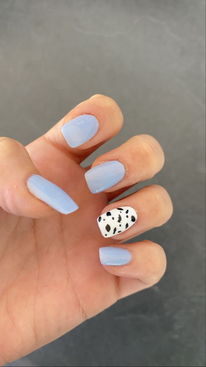 Baby Blue Nails With Cow Print Ig Mariapuigvert